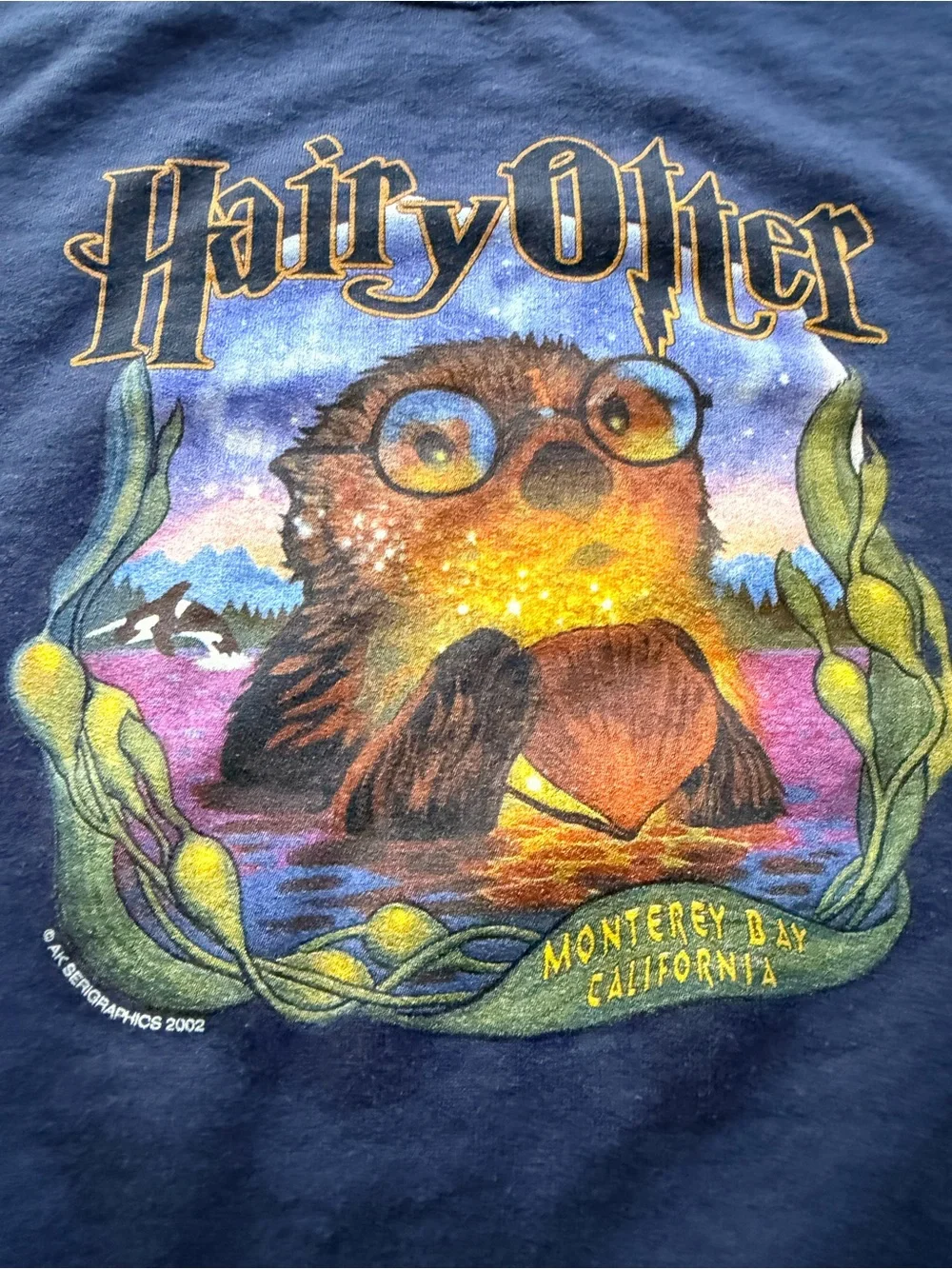 Port and Company Navy 'Hairy Otter' Graphic Crewneck